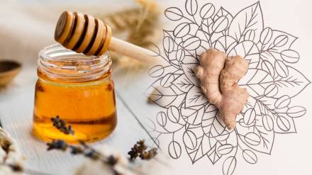 health Benefits of eating ginger with honey