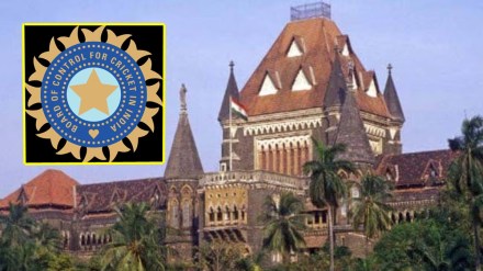 बीसीसीआयला उच्च न्यायालयाचा तडाखा; कोची टस्कर्स' संघ मालकांना ५३८ कोटी देण्याचे आदेश, लवादाच्या निर्णयात हस्तक्षेपास नकारा ( संग्रहित छायाचित्र)/ लोकसत्ता 