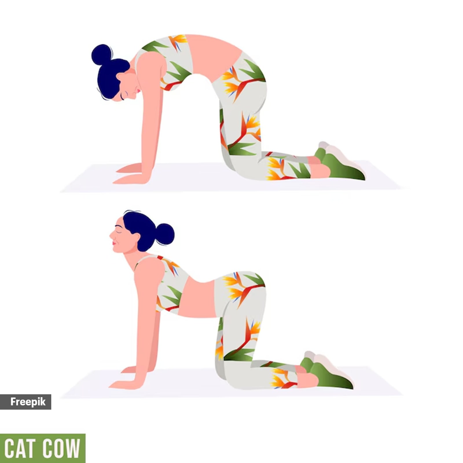 Marjaryasana and Bitilasana (Cat-Cow Stretch)