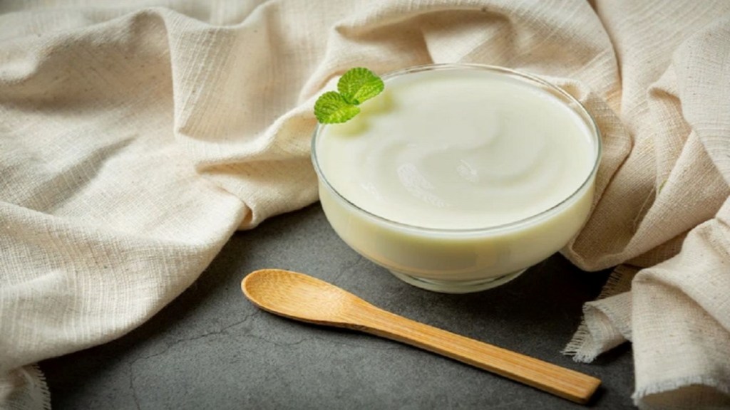 Vegetarian Protein Foods