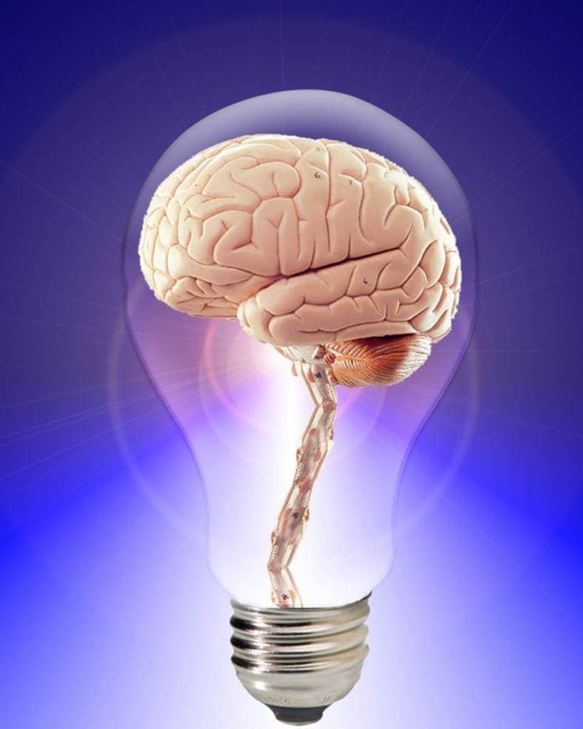 brain health