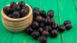 Jamun