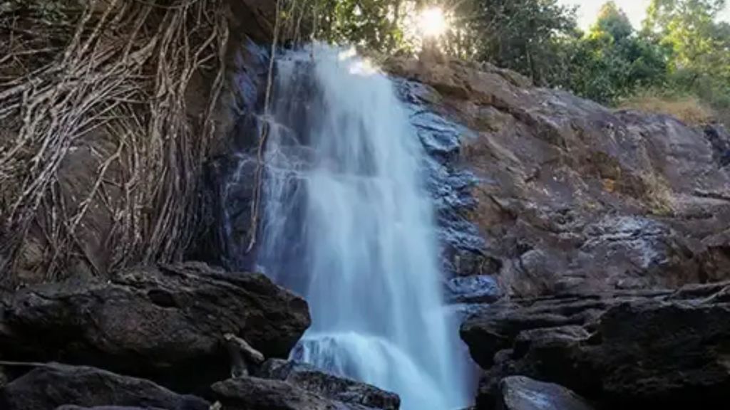 Wayanad trip | monsoon trip | kerala trip | kerala tourism | kerala tourist places