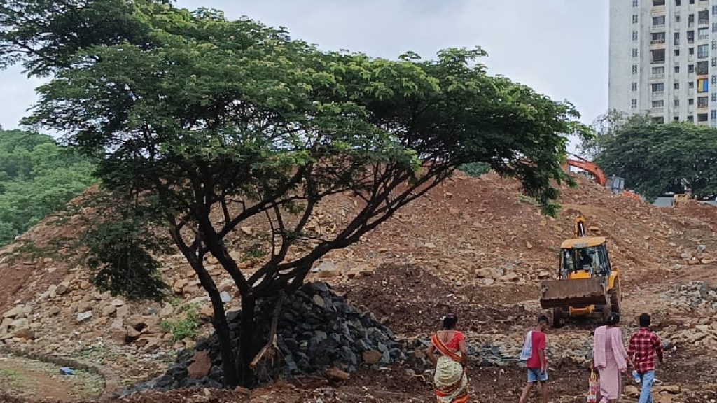 34 trees fell during Thursday night rain no injuries reported said fire department officials