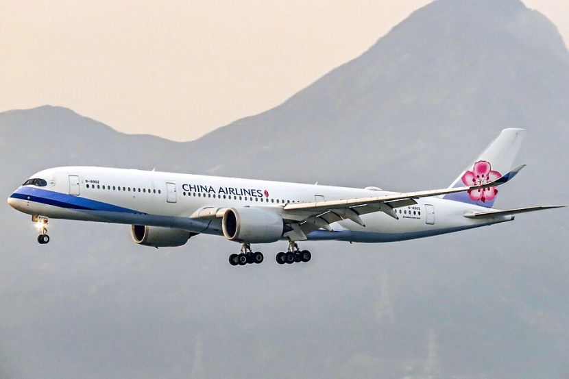 Which Airline Has the Largest Fleet in the World