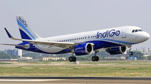 Which Airline Has the Largest Fleet in the World
