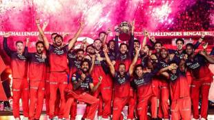 ipl final 2025 royal challengers bangluru winning moments