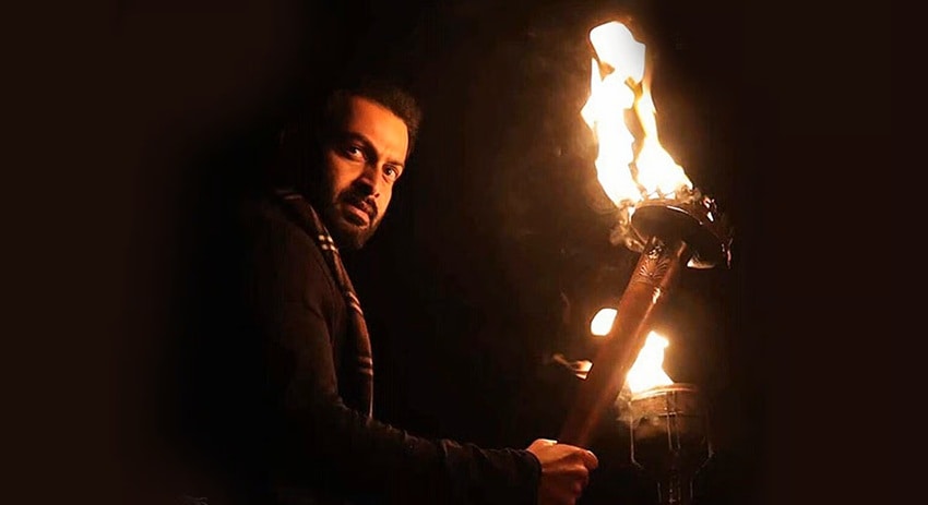 9 (2019)
