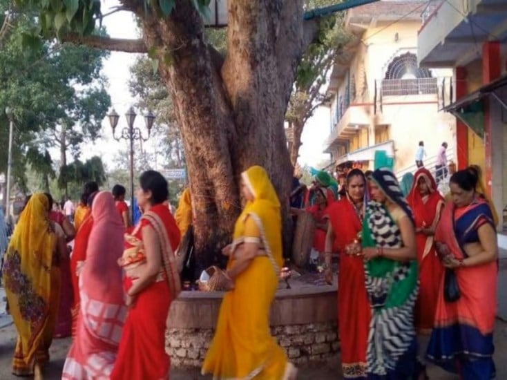 Circumambulating the Peepal Tree More Than Just a Ritual
