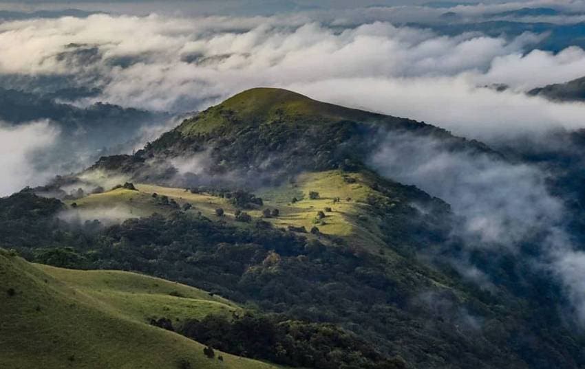 Coorg