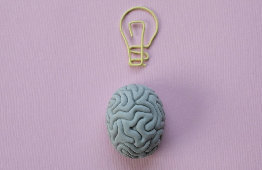 Eat Smart These 8 Brain Foods Can Improve Your Memory