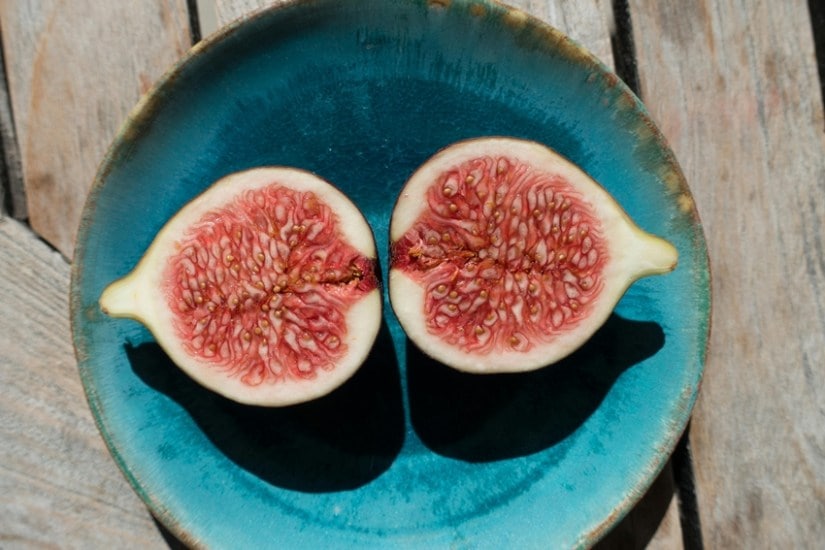 Everyday Foods for Lifelong Health