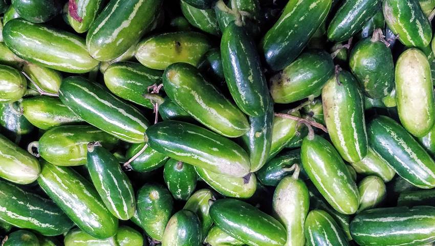 natural liver care