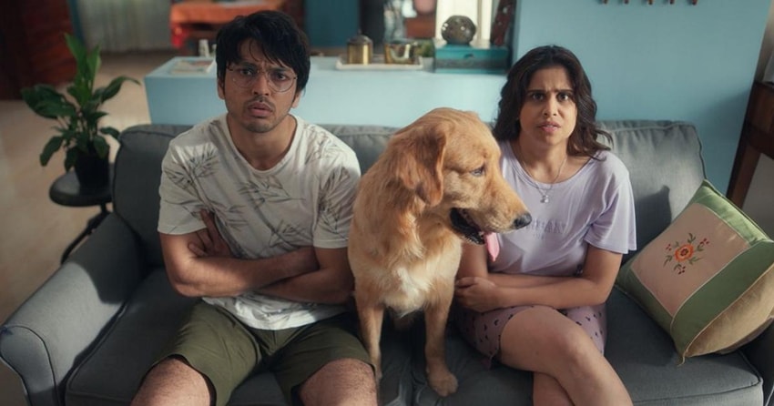 Pet Puraan