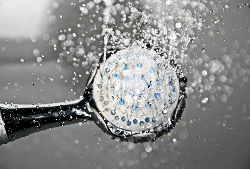 Regular cleaning schedule