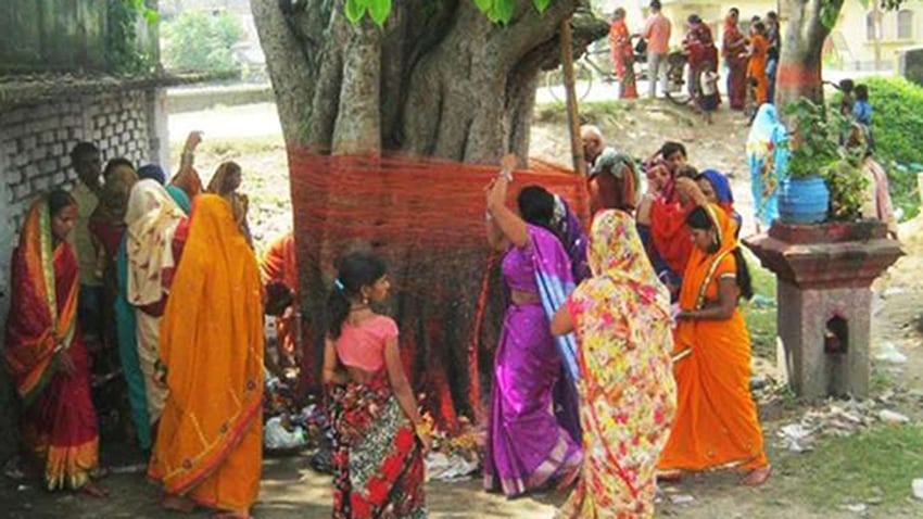 The Power of the Peepal Tree Health Peace and Divine Blessings