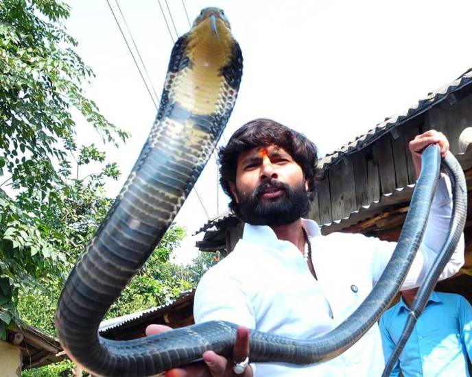 snake rescuer Murli Wale Hausla