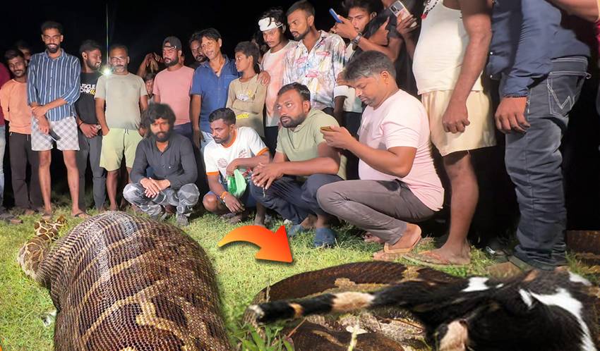snake savior Murli Wale Hausla