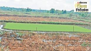 Bhandara district farming businesses