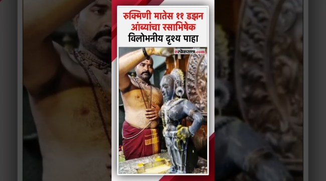 Rasabhishek of Hapus mangoes with chanting of Pandharpuri Mata Rukmini mantra