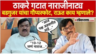 What did Sanjay Raut say on Sudhakar Badgujars statement