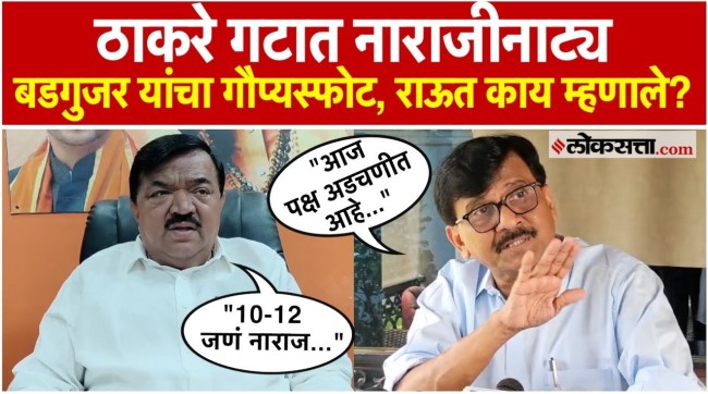 What did Sanjay Raut say on Sudhakar Badgujars statement