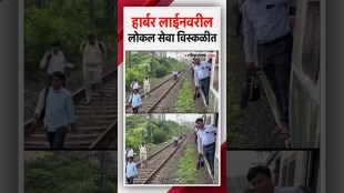 Local services on Harbour Line disrupted due to technical glitch