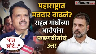 Maharashtra CM Devendra Fadnavis Criticised on rahul Gandhis Statement About Ladki bahin yojna