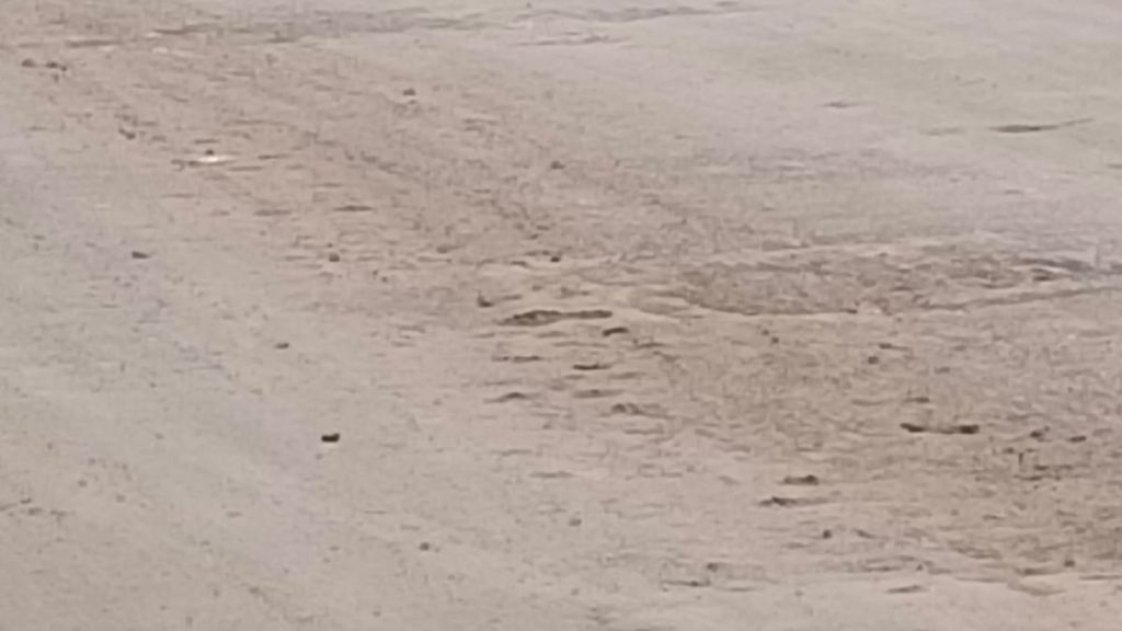 mira bhayandar slippery dusty roads issue municipal negligence mira bhayandar slippery dusty roads issue municipal negligence