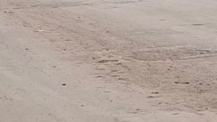 mira bhayandar slippery dusty roads issue municipal negligence