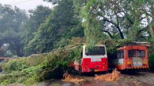 palghar, monsoon, stormy comeback, heavy rain, tree collapse, electricity outage, roof blown off, school houses affected, peoples suffers, msrtc bus