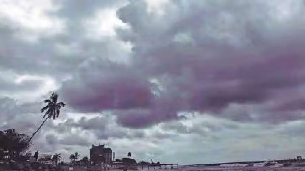 Maharashtra Mumbai Monsoon Updates in Marathi Meteorological Department predicted monsoon winds cover entire state by Tuesday Maharashtra Mumbai Monsoon Updates in Marathi Meteorological Department predicted monsoon winds cover entire state by Tuesday