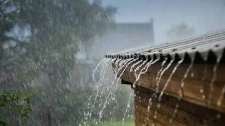 heavy rains in West Satara monsoon vacation of 334 Zilla Parishad schools
