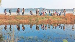 नागझिऱ्यातल्या शिकारीचा थरार