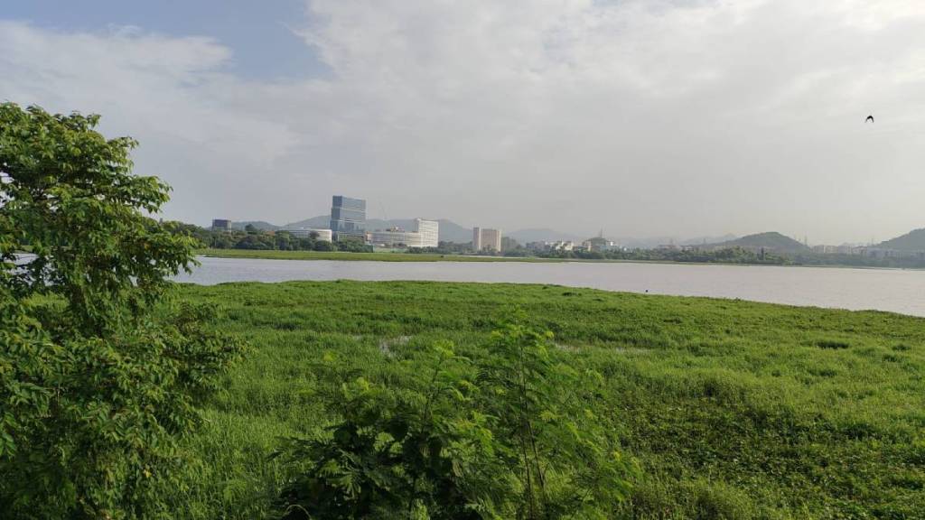 Powai Lake clean-up initiative news in marathi