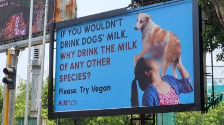 peta india dog milk ad promoting veganism photo
