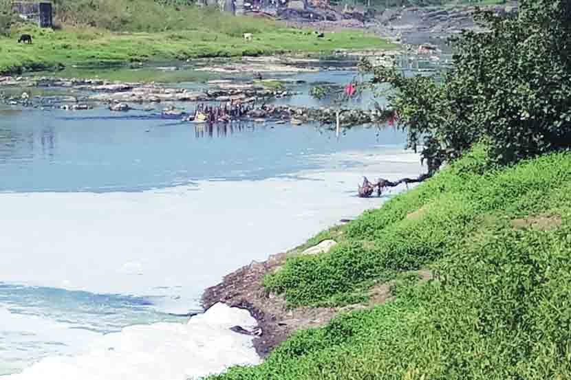 Maharashtra pollution control 56 polluted rivers rejuvenation action plan Pankaja Munde statement in Legislative Council