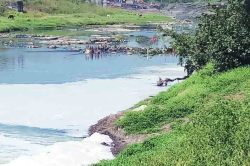 राज्यात ५६ नद्या प्रदूषित; सांडपाणी प्रक्रिया प्रकल्प उभारण्यात हलगर्जीपणा, पर्यावरण मंत्री मुंडे यांची माहिती