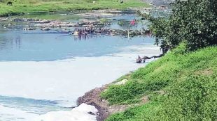 Maharashtra pollution control 56 polluted rivers rejuvenation action plan Pankaja Munde statement in Legislative Council