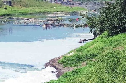 Maharashtra pollution control 56 polluted rivers rejuvenation action plan Pankaja Munde statement in Legislative Council