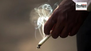Loksatta explained What is the public smoking ban law in France