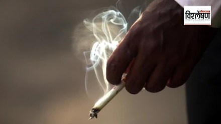 Loksatta explained What is the public smoking ban law in France