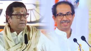 thackeray Shiv Sena mns protest against Hindi language mandatory