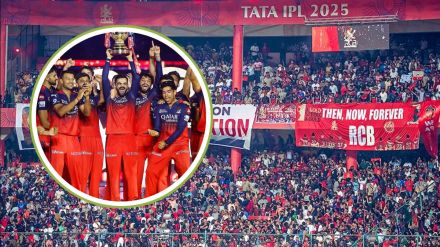 rcb fans