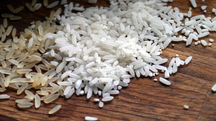 Chandrapur district rice scam, rice scam,