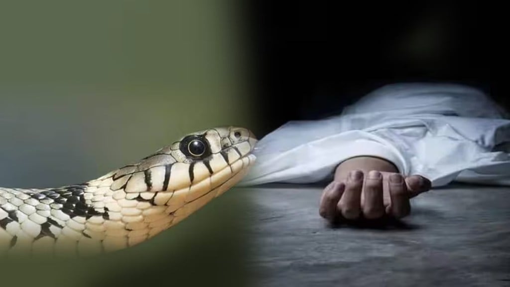 Sonale High School 5th grade student dies of snakebite