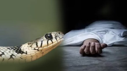 Sonale High School 5th grade student dies of snakebite