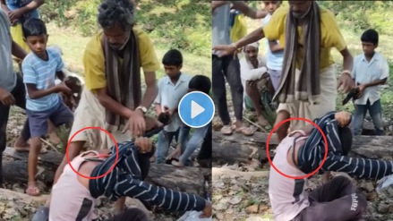 snake in t-shirt snake in t-shirt