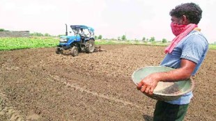 maharashtra kharif sowing regionwise data Sowing increases due to heavy rains pune