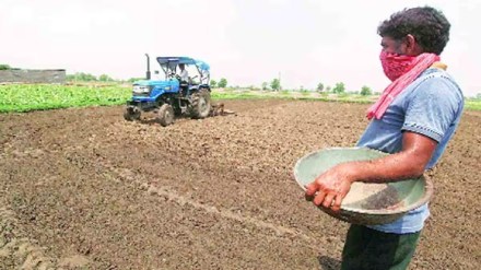 maharashtra kharif sowing regionwise data Sowing increases due to heavy rains pune